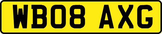 WB08AXG