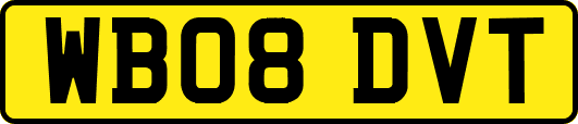 WB08DVT