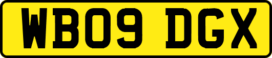 WB09DGX