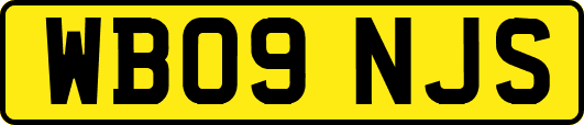 WB09NJS