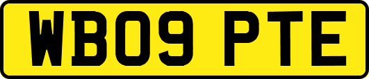 WB09PTE