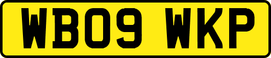 WB09WKP