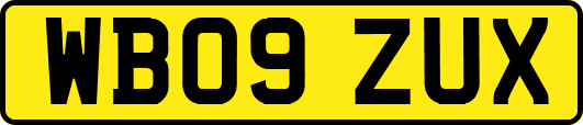WB09ZUX