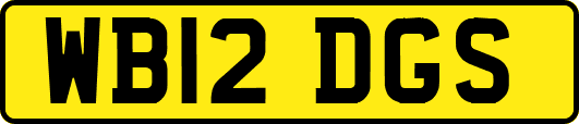 WB12DGS