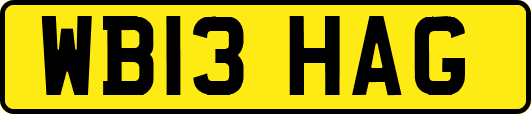 WB13HAG