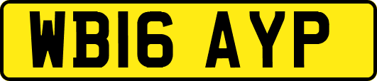 WB16AYP