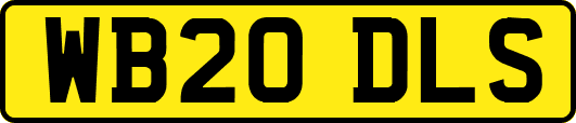 WB20DLS