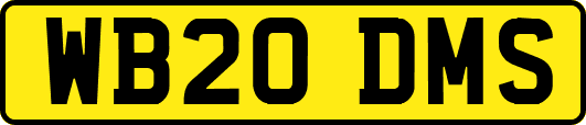 WB20DMS