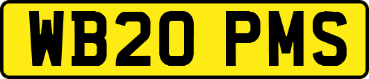 WB20PMS
