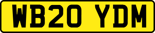 WB20YDM