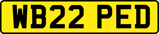 WB22PED