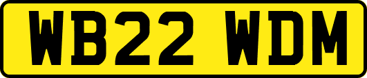 WB22WDM