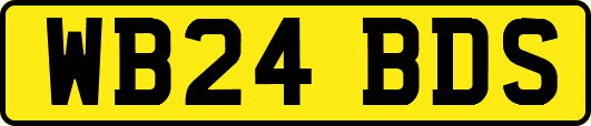 WB24BDS