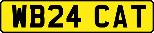 WB24CAT