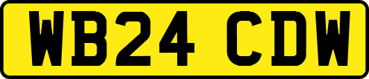 WB24CDW