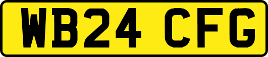 WB24CFG