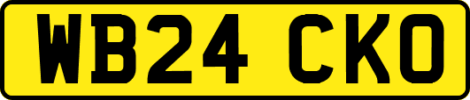 WB24CKO