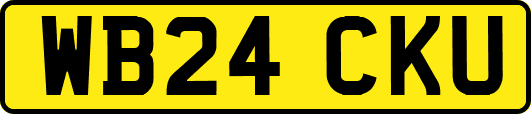 WB24CKU