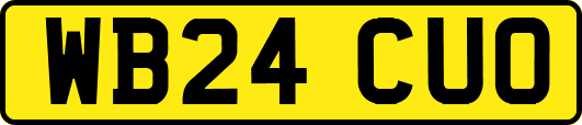 WB24CUO