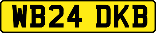 WB24DKB
