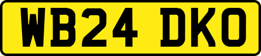 WB24DKO