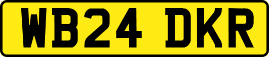 WB24DKR