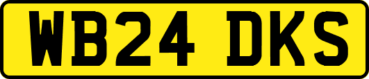 WB24DKS