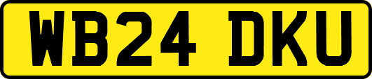 WB24DKU