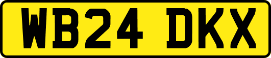 WB24DKX