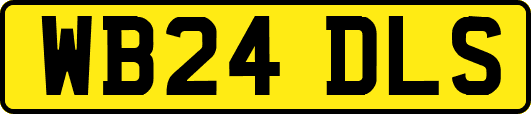WB24DLS