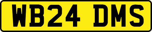 WB24DMS