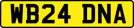 WB24DNA