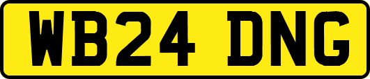 WB24DNG