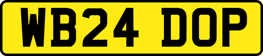 WB24DOP