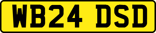 WB24DSD