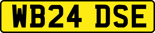 WB24DSE