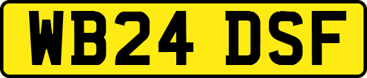 WB24DSF