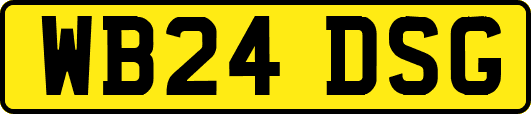 WB24DSG
