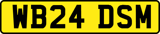 WB24DSM