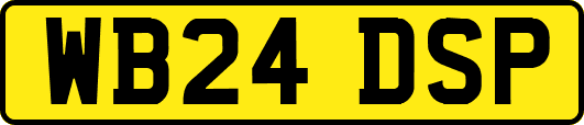 WB24DSP