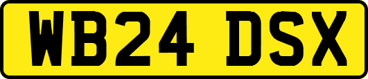 WB24DSX