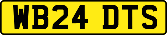 WB24DTS