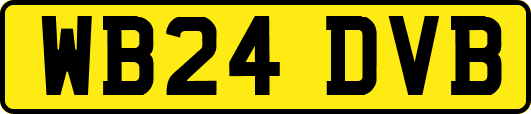 WB24DVB