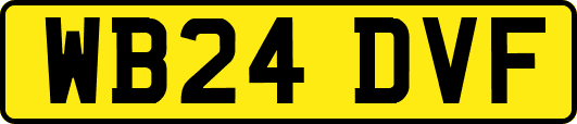 WB24DVF