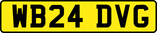 WB24DVG