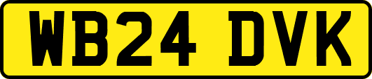 WB24DVK