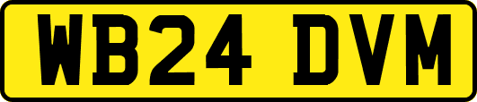 WB24DVM