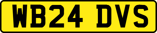 WB24DVS