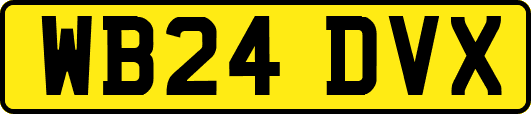 WB24DVX