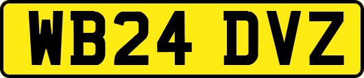 WB24DVZ